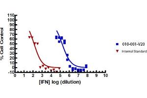 SDS-PAGE of Mouse Interferon gamma Recombinant Protein Bioactivity of Mouse Interferon-gamma Recombinant Protein. (IFNG1-2 Protéine)