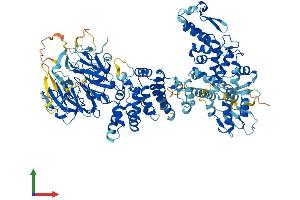AlphaFold protein structure predicition of Mouse Recombinant Herc6 Protein, UniprotID F2Z461