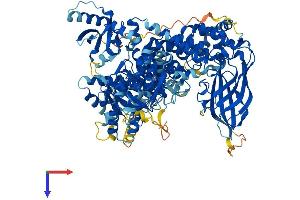 AlphaFold protein structure predicition of Human Recombinant PIK3CD Protein, UniprotID O00329