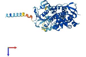AlphaFold protein structure predicition of Mouse Recombinant Cyp20a1 Protein, UniprotID Q8BKE6