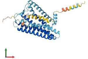 AlphaFold protein structure predicition of Human Recombinant OR6B3 Protein, UniprotID Q8NGW1