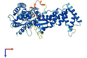 AlphaFold protein structure predicition of Human Recombinant ABTB1 Protein, UniprotID Q969K4