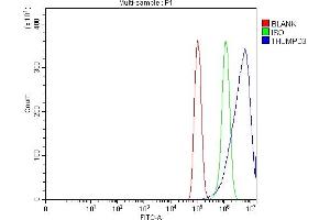 Flow Cytometry analysis of PC-3 cells using anti-THUMPD3 antibody (ABIN7599445). (THUMPD3 anticorps  (AA 1-496))