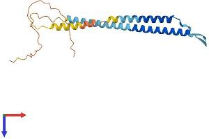 AlphaFold protein structure predicition of Mouse Recombinant Nrsn1 Protein, UniprotID P97799