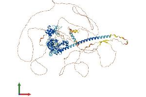 AlphaFold protein structure predicition of Human Recombinant MAP3K21 Protein, UniprotID Q5TCX8