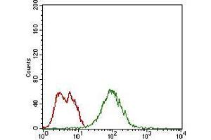 Flow cytometric analysis of MCF-7 cells using mSplunc2 mouse mAb (green) and negative control (red).