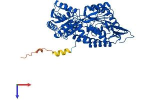 AlphaFold protein structure predicition of Mouse Recombinant Aldh1a2 Protein, UniprotID Q62148