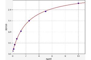Gremlin 1 (GREM1) ELISA Kit