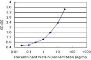 SSX2 (Human) Matched Antibody Pair