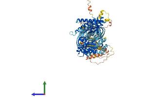 AlphaFold protein structure predicition of Mouse Recombinant Adcy2 Protein, UniprotID Q80TL1