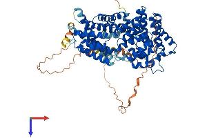 AlphaFold protein structure predicition of Human Recombinant TTC39B Protein, UniprotID Q5VTQ0