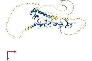 AlphaFold protein structure predicition of Human Recombinant LHX5 Protein, UniprotID Q9H2C1