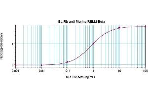 Direct ELISA using RELM beta antibody (RETNLB anticorps  (Biotin))