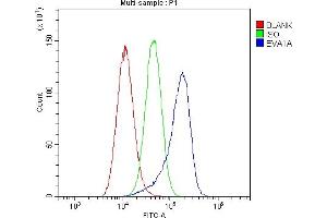 Flow Cytometry analysis of A549 cells using anti-EVA1A antibody (ABIN6719564). (TMEM166 anticorps)