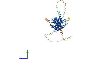AlphaFold protein structure predicition of Mouse Recombinant Cacnb3 Protein, UniprotID P54285