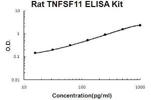 Rat TNFSF11/RANKL PicoKine ELISA Kit standard curve
