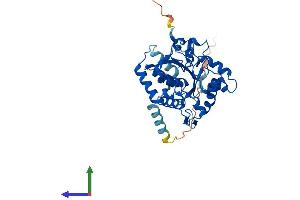 AlphaFold protein structure predicition of Human Recombinant ST8SIA1 Protein, UniprotID Q92185