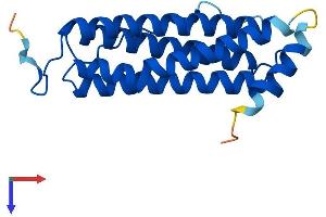 AlphaFold protein structure predicition of Human Recombinant FTHL17 Protein, UniprotID Q9BXU8