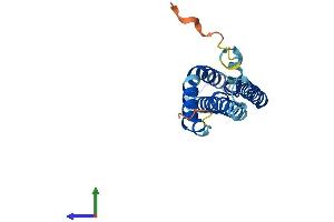AlphaFold protein structure predicition of Human Recombinant MTFP1 Protein, UniprotID Q9UDX5