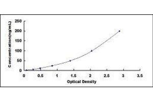 Heat Shock Protein 70 (HSP70) ELISA Kit
