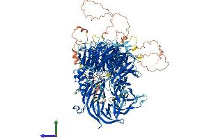 AlphaFold protein structure predicition of Human Recombinant CPSF1 Protein, UniprotID Q10570