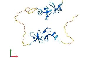 AlphaFold protein structure predicition of Mouse Recombinant Crip2 Protein, UniprotID Q9DCT8