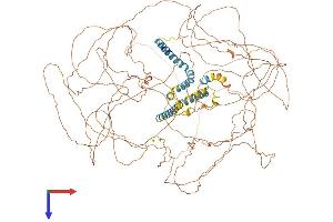 AlphaFold protein structure predicition of Mouse Recombinant Rtn4 Protein, UniprotID Q99P72