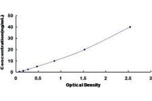 Typical standard curve (CPZ Kit ELISA)