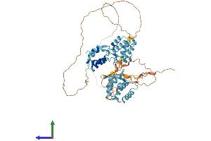 AlphaFold protein structure predicition of Mouse Recombinant Gm12695 Protein, UniprotID A2AGB2