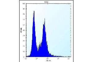 PI15 Antibody (N-term) (ABIN657253 and ABIN2846351) flow cytometric analysis of K562 cells (right histogram) compared to a negative control cell (left histogram).