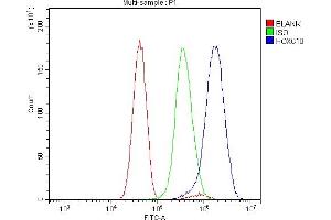 Flow Cytometry analysis of U251 cells using anti-HOXC10 antibody (ABIN7599157). (HOXC10 anticorps  (AA 1-250))