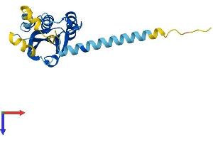 AlphaFold protein structure predicition of Mouse Recombinant Desi2 Protein, UniprotID Q9D291