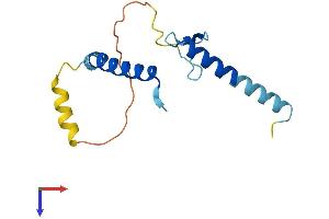 AlphaFold protein structure predicition of Human Recombinant LLPH Protein, UniprotID Q9BRT6