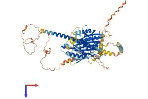AlphaFold protein structure predicition of Human Recombinant KIF12 Protein, UniprotID Q96FN5