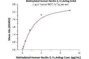 Immobilized Human TIGIT, Fc Tag (ABIN2181815,ABIN6951013) at 10 μg/mL (100 μL/well) can bind Biotinylated Human Nectin-3, Fc,Avitag (ABIN5526674,ABIN5526675) with a linear range of 0. (nectin-3 Protein (AA 58-400) (Fc Tag,AVI tag,Biotin))