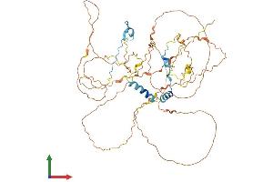 AlphaFold protein structure predicition of Human Recombinant BORA Protein, UniprotID Q6PGQ7