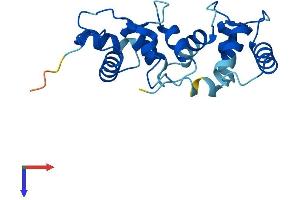 AlphaFold protein structure predicition of Human Recombinant CIB2 Protein, UniprotID O75838
