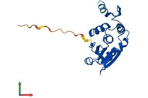 AlphaFold protein structure predicition of Human Recombinant DUSP21 Protein, UniprotID Q9H596