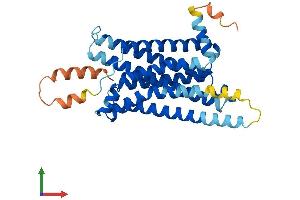 AlphaFold protein structure predicition of Mouse Recombinant Mc5r Protein, UniprotID P41149