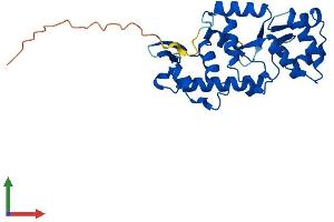 AlphaFold protein structure predicition of Mouse Recombinant Stk19 Protein, UniprotID Q9JHN8