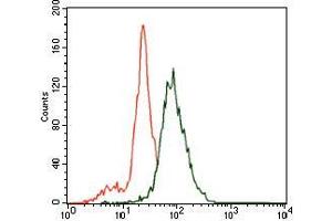 Flow cytometric analysis of SK-N-SH cells using SLC27A5 mouse mAb (green) and negative control (purple).