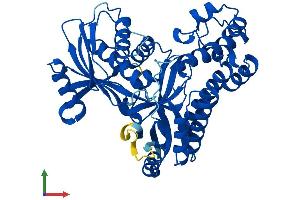AlphaFold protein structure predicition of Human Recombinant GALK2 Protein, UniprotID Q01415