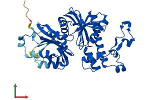 AlphaFold protein structure predicition of Mouse Recombinant Pank3 Protein, UniprotID Q8R2W9