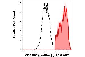 Separation of human CD45R0 positive lymphocytes (red-filled) from CD45R0 negative lymphocytes (black-dashed) in flow cytometry analysis (surface staining) of peripheral whole blood stained using anti-human CD45R0 (UCHL1) purified antibody (concentration in sample 1 μg/mL, GAM APC). (CCL20 anticorps)