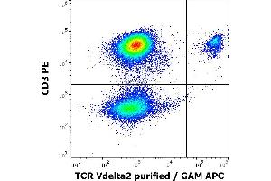 Flow cytometry multicolor surface staining pattern of human lymphocytes using anti-human TCR Vdelta2 (B6) purified antibody (concentration in sample 0,3 μg/mL, GAM APC) and anti-human CD3 (UCHT1) PE antibody (4 μL reagent / 100 μL of peripheral whole blood). (TCR, V delta 2 anticorps)