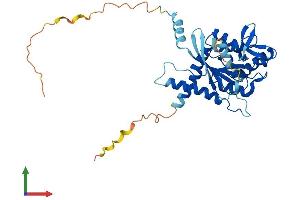 AlphaFold protein structure predicition of Human Recombinant SEPTIN3 Protein, UniprotID Q9UH03