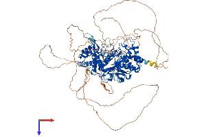 AlphaFold protein structure predicition of Human Recombinant PARG Protein, UniprotID Q86W56