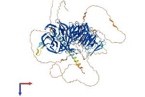 AlphaFold protein structure predicition of Mouse Recombinant Eml4 Protein, UniprotID Q3UMY5