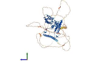 AlphaFold protein structure predicition of Mouse Recombinant Daxx Protein, UniprotID O35613