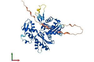 AlphaFold protein structure predicition of Mouse Recombinant Actl7b Protein, UniprotID Q9QY83